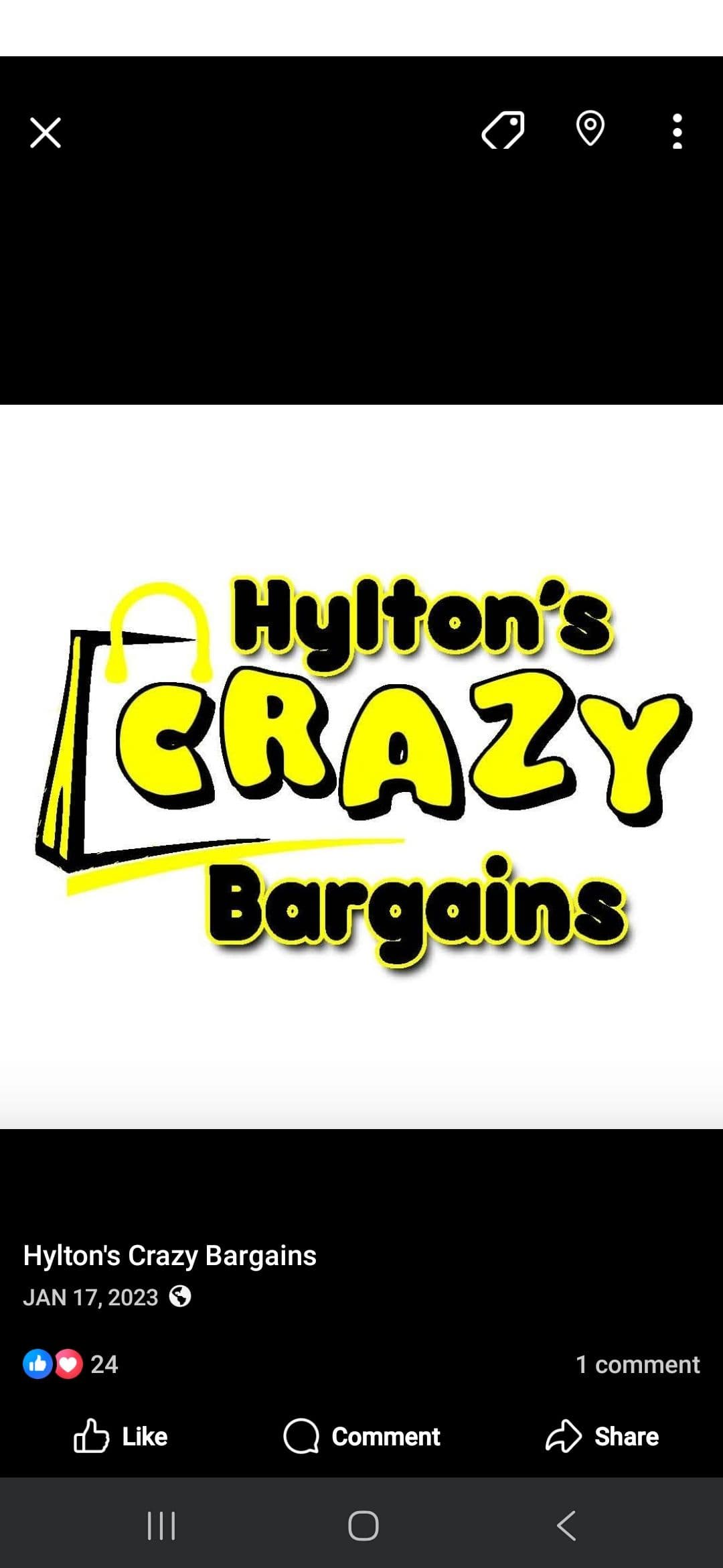 Hylton's Crazy Bargain Bins